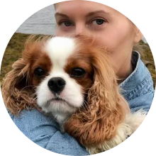 Dash, a Cavalier King Charles Spaniel and his pet parent Lynne at the beach.